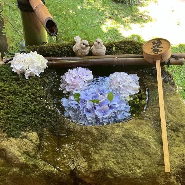 癒し～(* ´  ` *)ᐝ