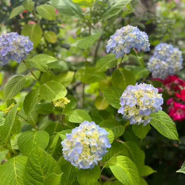 暑いね～☀️