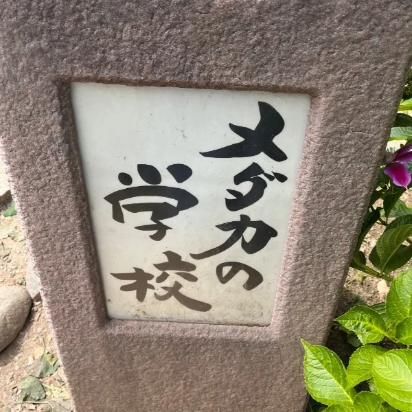本当にあるんだな～😂