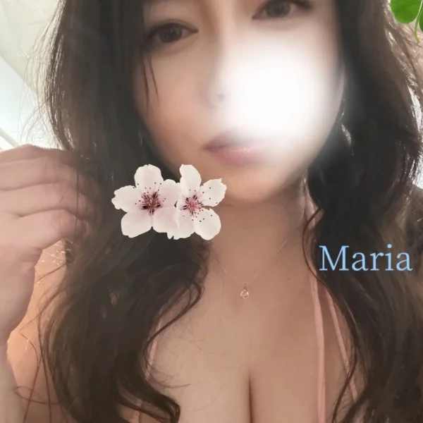 本日24:00まで🌹