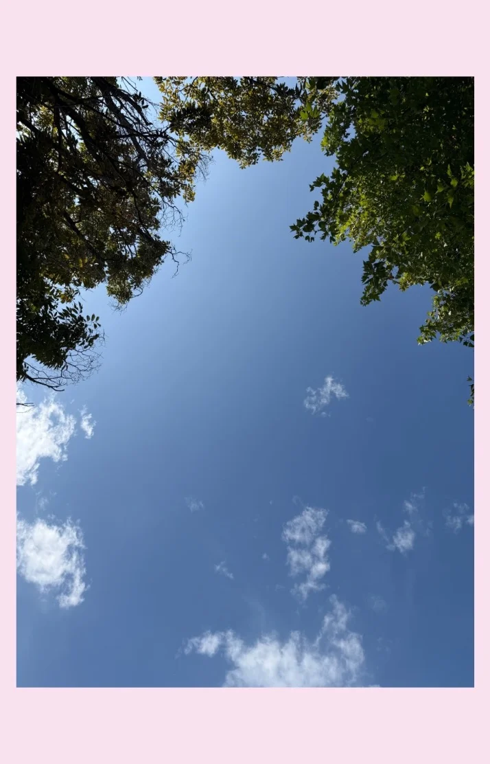 本日21時から出勤します！⋆🐾°