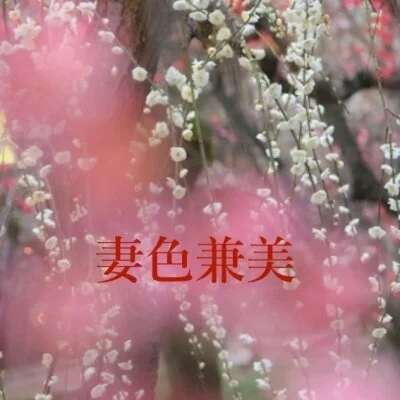 Early  spring🌸