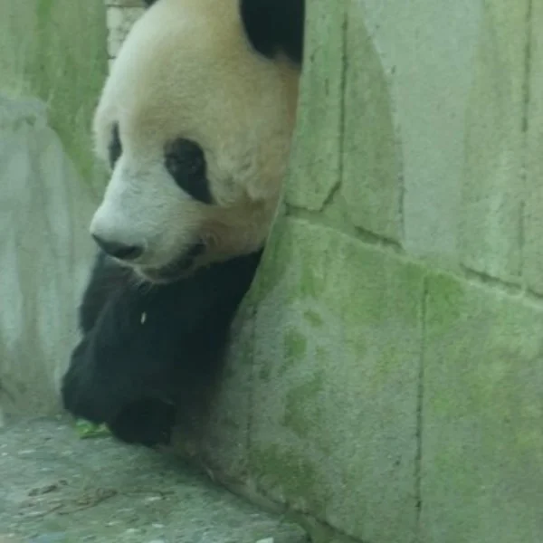 タフな私