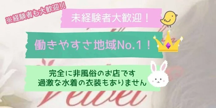 velvetの求人募集イメージ2