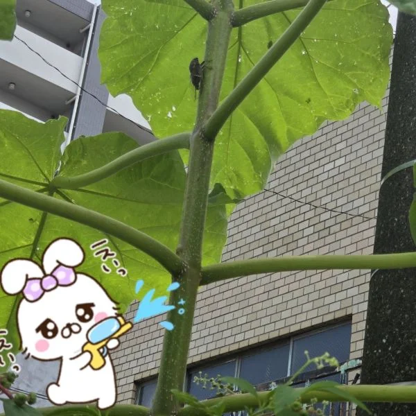 本日14時30分から出勤します💕あちち☀️😵💦あちち☀