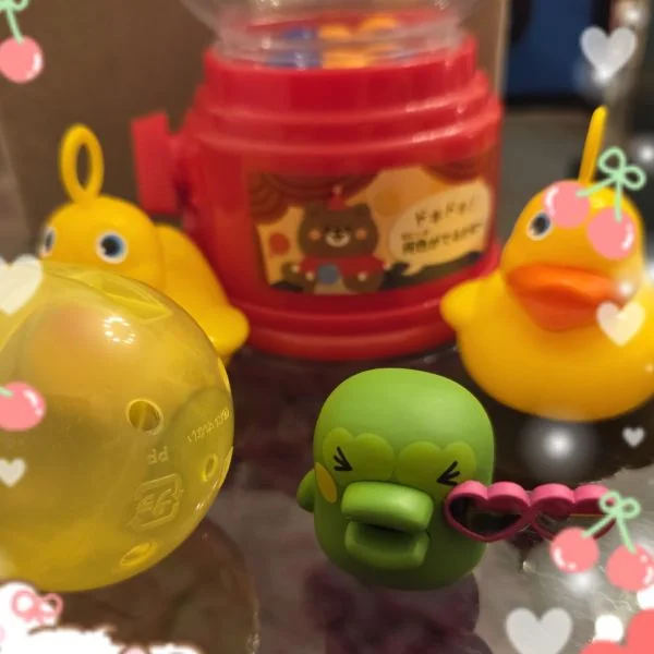 本日まだ🈳️あります✨