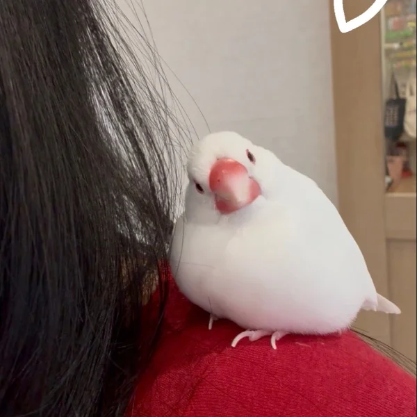 出勤日です♡