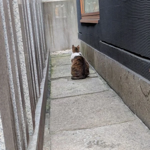 明日、出勤致します🎀