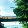 睡眠時間の大切さのサムネイル