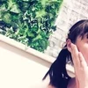 横のつながりがない安心感( ´艸｀)のサムネイル