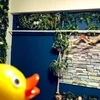 好きな仕事💎のサムネイル
