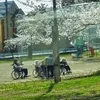 ほのぼののサムネイル