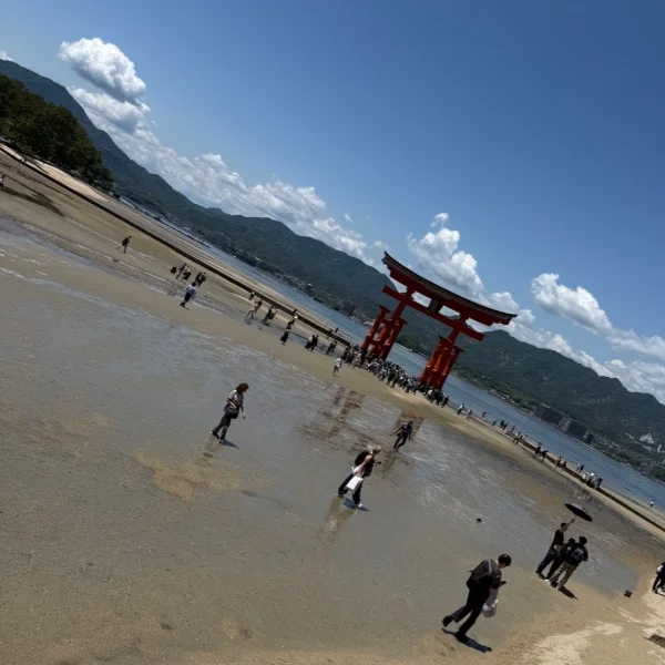 おはもに🐥⸒⸒