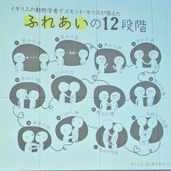 「ふれあいの12段階」
