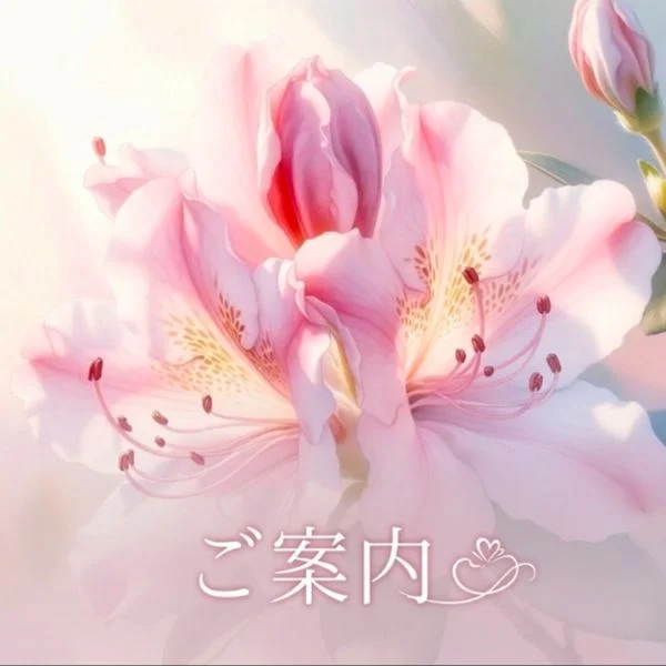 【⠀ご新規様受付について 】