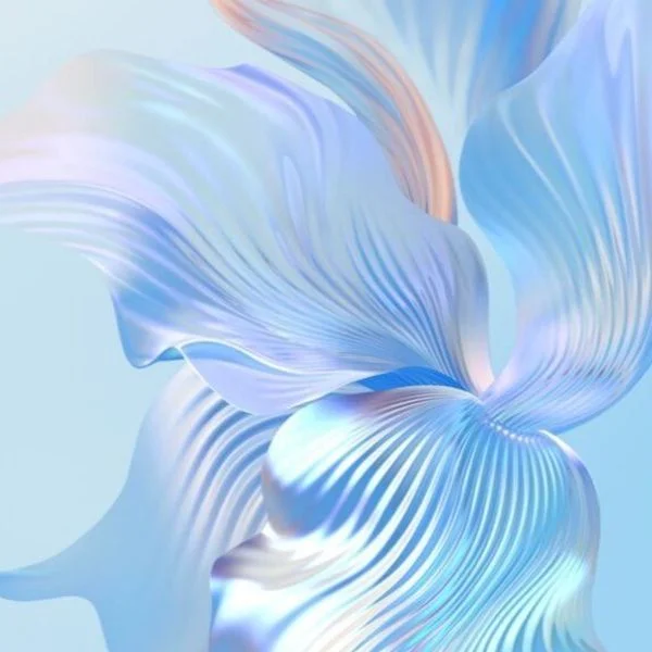 施術前後𓂃𓈒◌