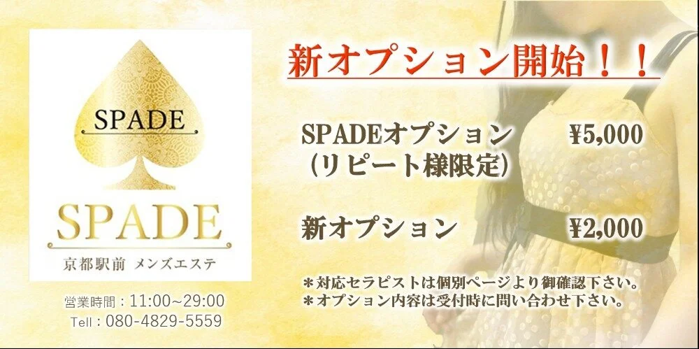 SPADEのカバー画像