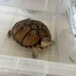 採用担当のイメージです