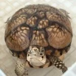 採用担当のイメージです 採用担当のイメージです