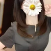 春乃こはる
