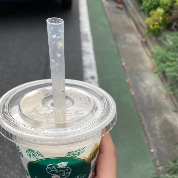 今年もこの季節が...🤍