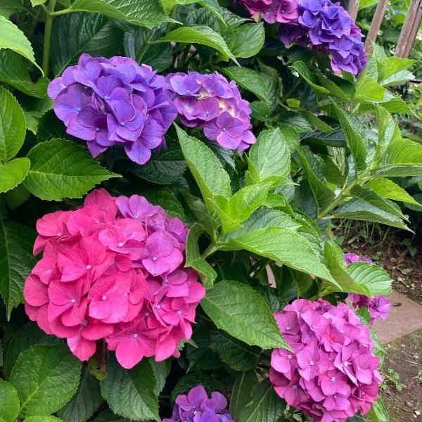 向かっています..♪