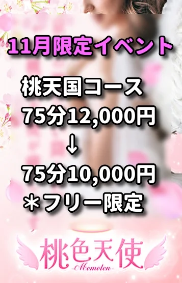 11月限定❤天使