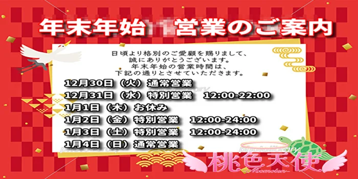 桃色天使2.0（MOMOTEN-2,0)