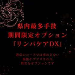 限定オプション復活