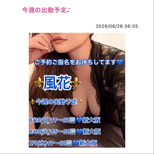 今週の出勤予定💙