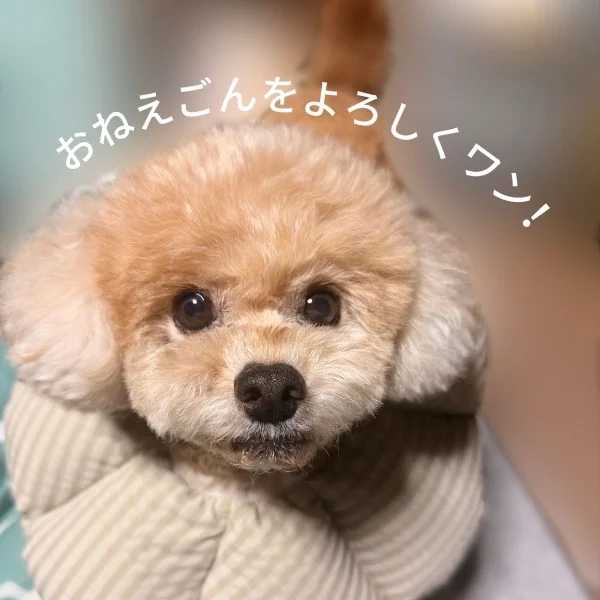 ぬぉおっっつ