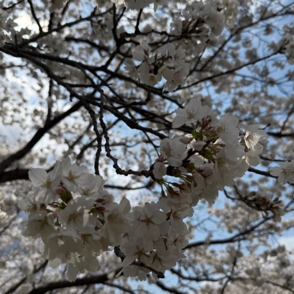 本日もありがとうございました🌈✨
