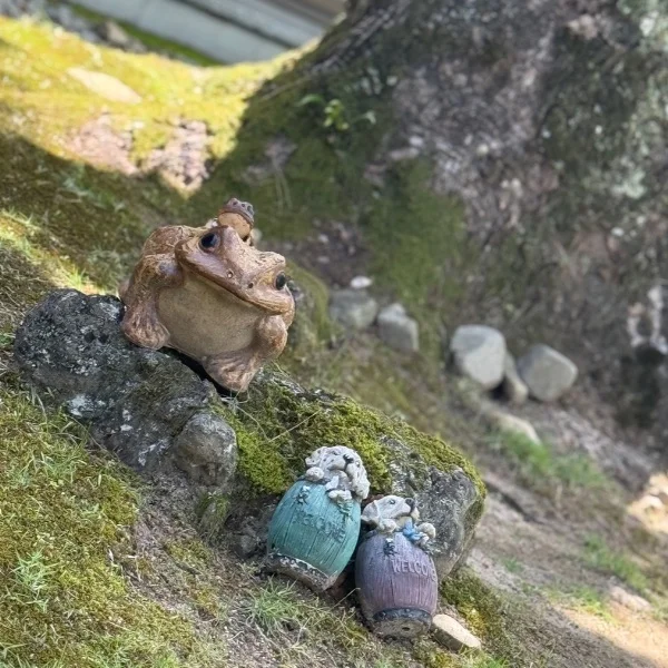 今日もあっつい!!!