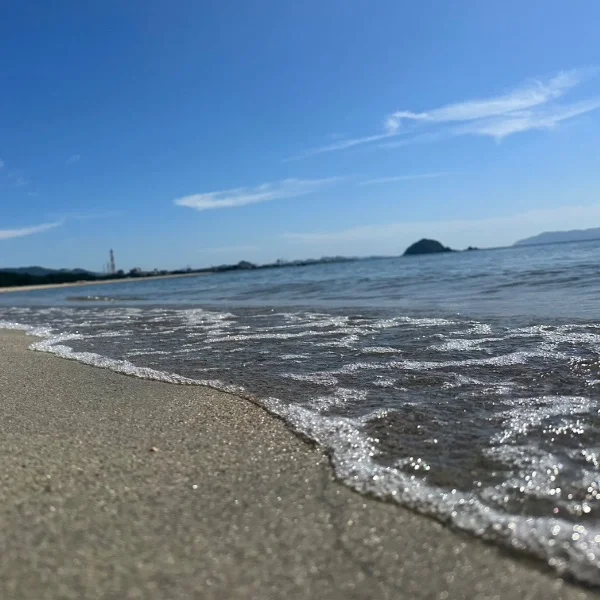 August🌞🌴🌺✨