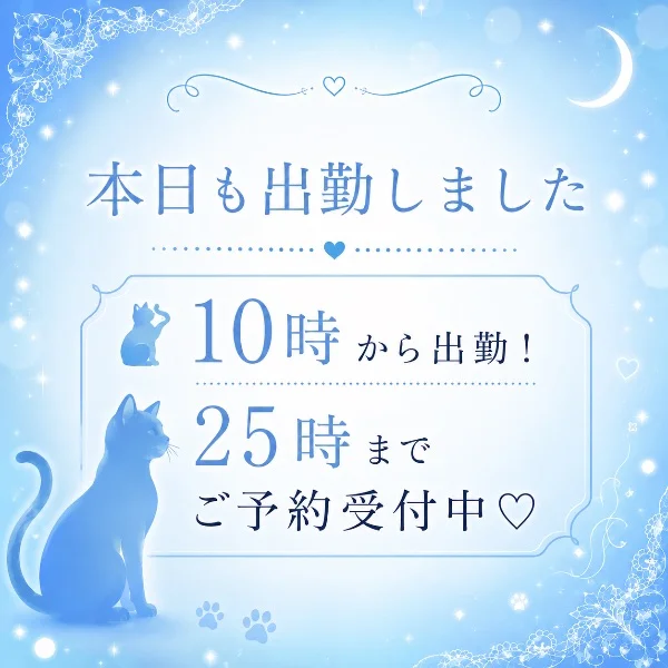 おはようございます🎀