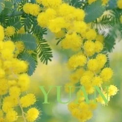 🔔4月なのフェア🔔