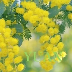 🔔4月なのフェア🔔