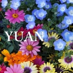 これからの〜🌿