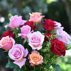 はる@スパロットミセス