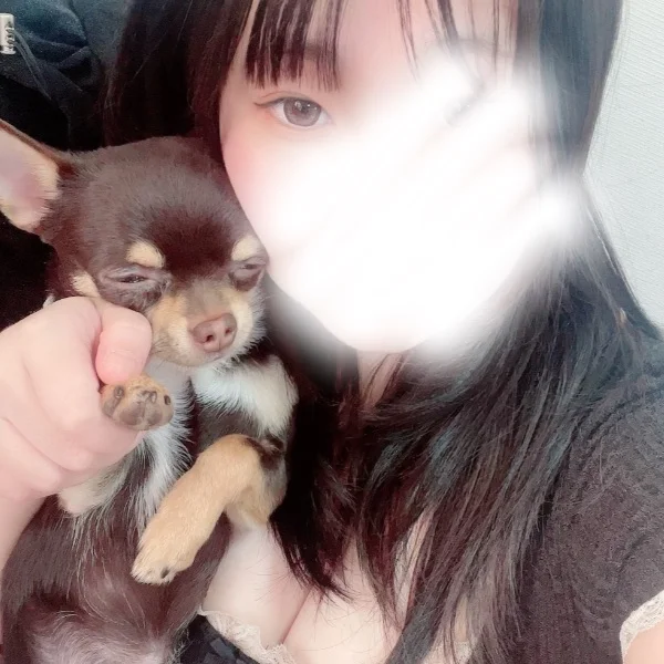 今日からまたいます👍