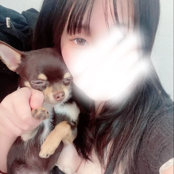 ゆっくりするんだぞ!!
