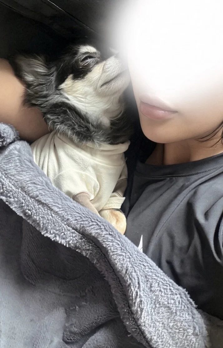 おやすみなさい❤︎