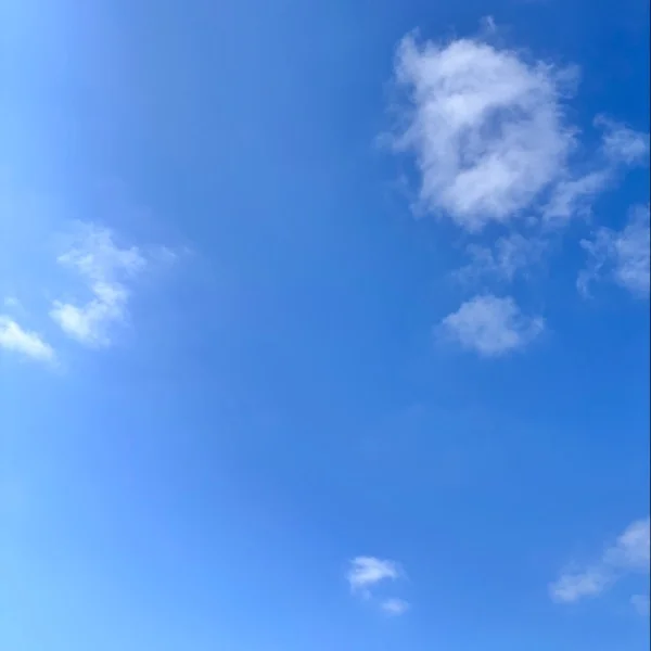 本日10時から出勤します