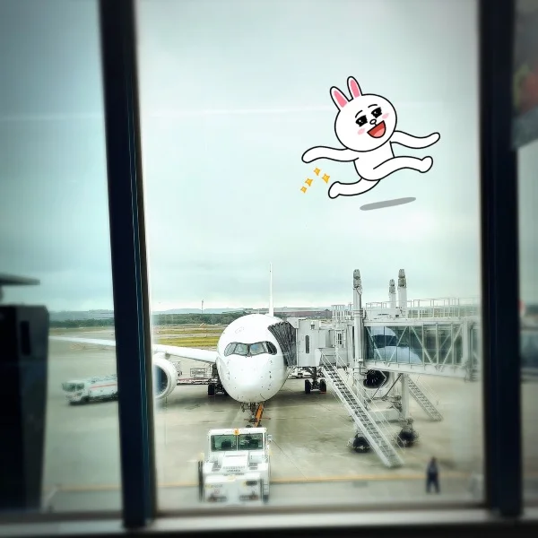 久しぶりの✈️