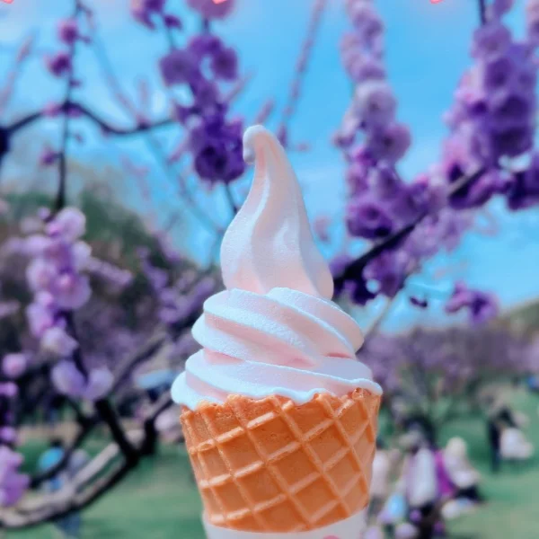 梅ソフト🍦