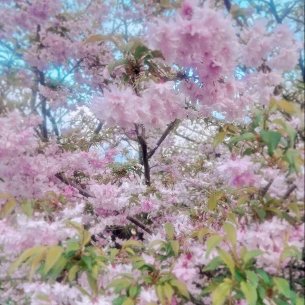 本日もありがとうございました