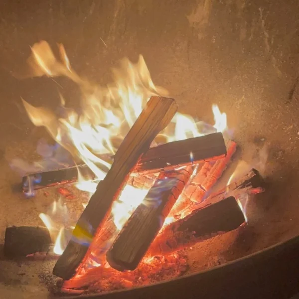 焚き火🔥