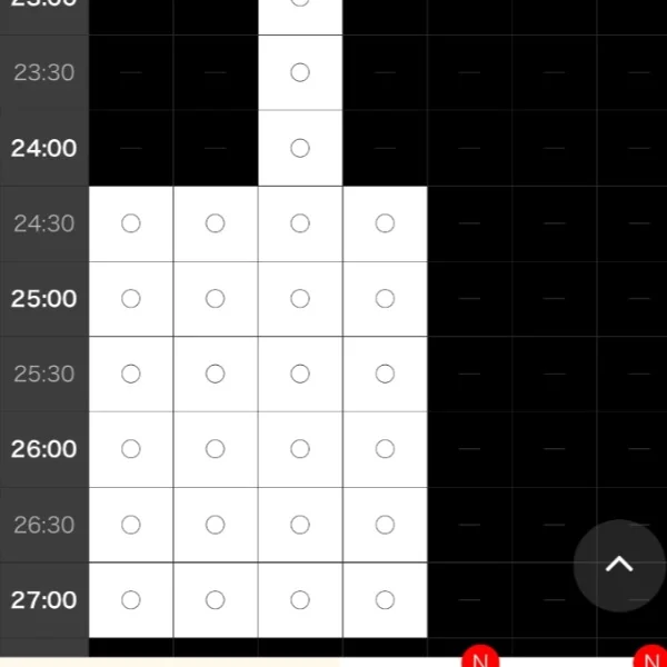 シンデレラは24時半〜