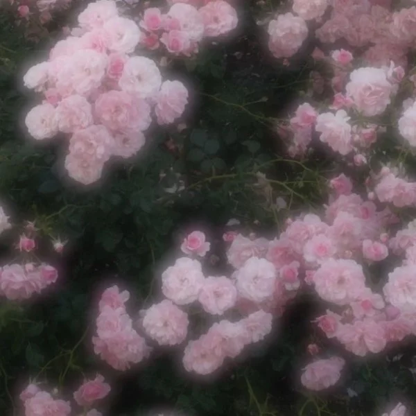 ありがとう🩷