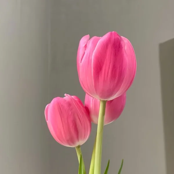 出勤だよー❤️❤️